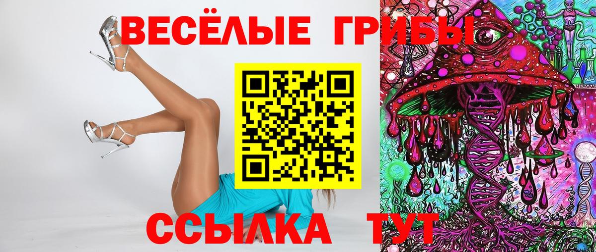 Псилоцибиновые грибы прущие грибы  Вход с VPN  Красноуфимск 