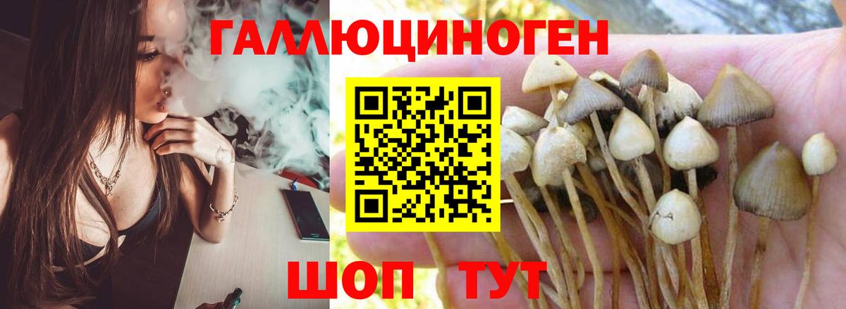 Псилоцибиновые грибы мухоморы Красноуфимск